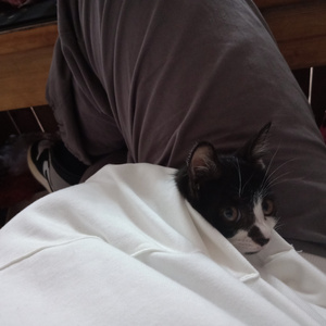 楪可怜最经典10部剧
