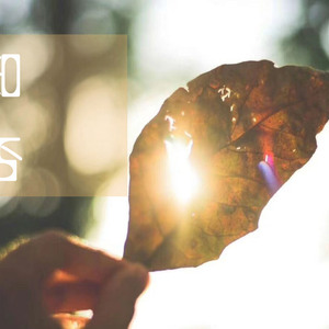 楪可怜最经典10部剧
