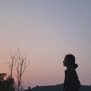 楪可怜最经典10部剧
